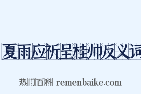 夏雨应祈呈桂帅反义词是什么意思的图片